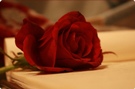 »Śảήḋяịℓℓą♥